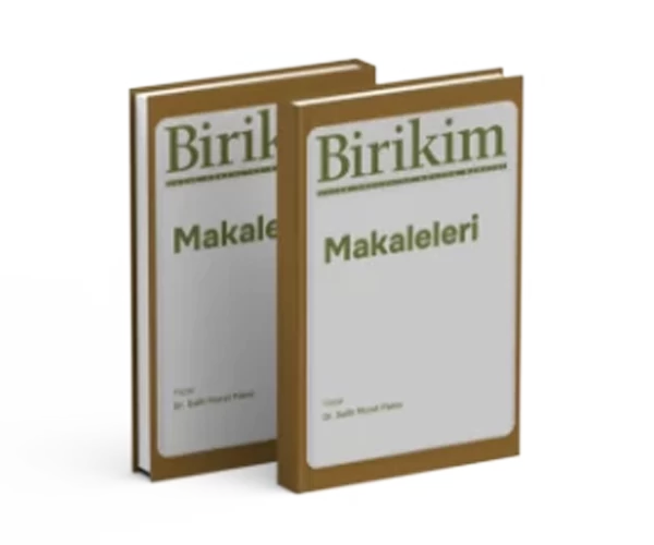 Birikim Articles